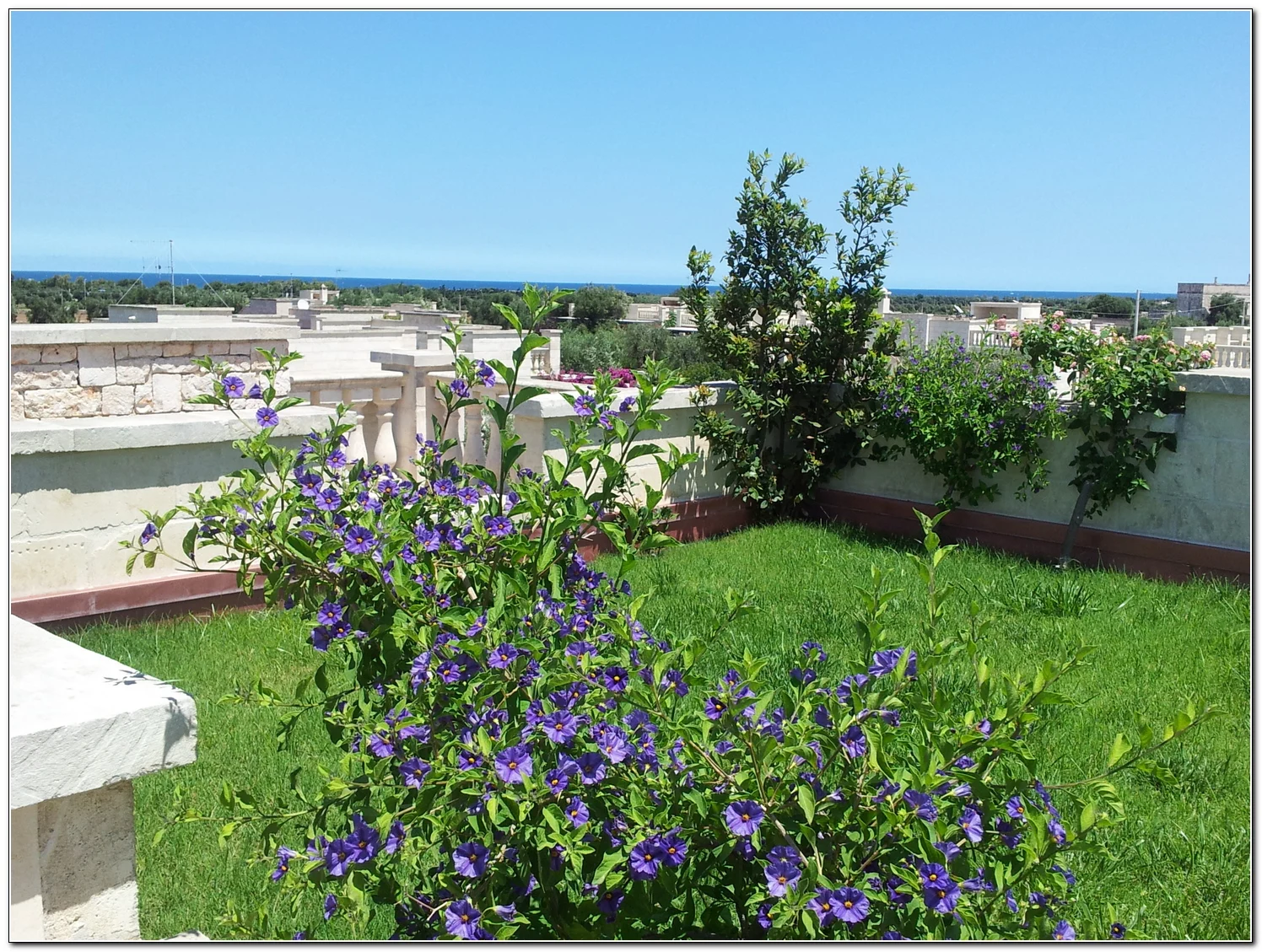 Villa Pugliese - Il Glicine